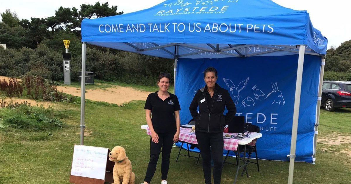 Raystede's Education Team are coming to Eastbourne with free pet advice! Raystede Centre for