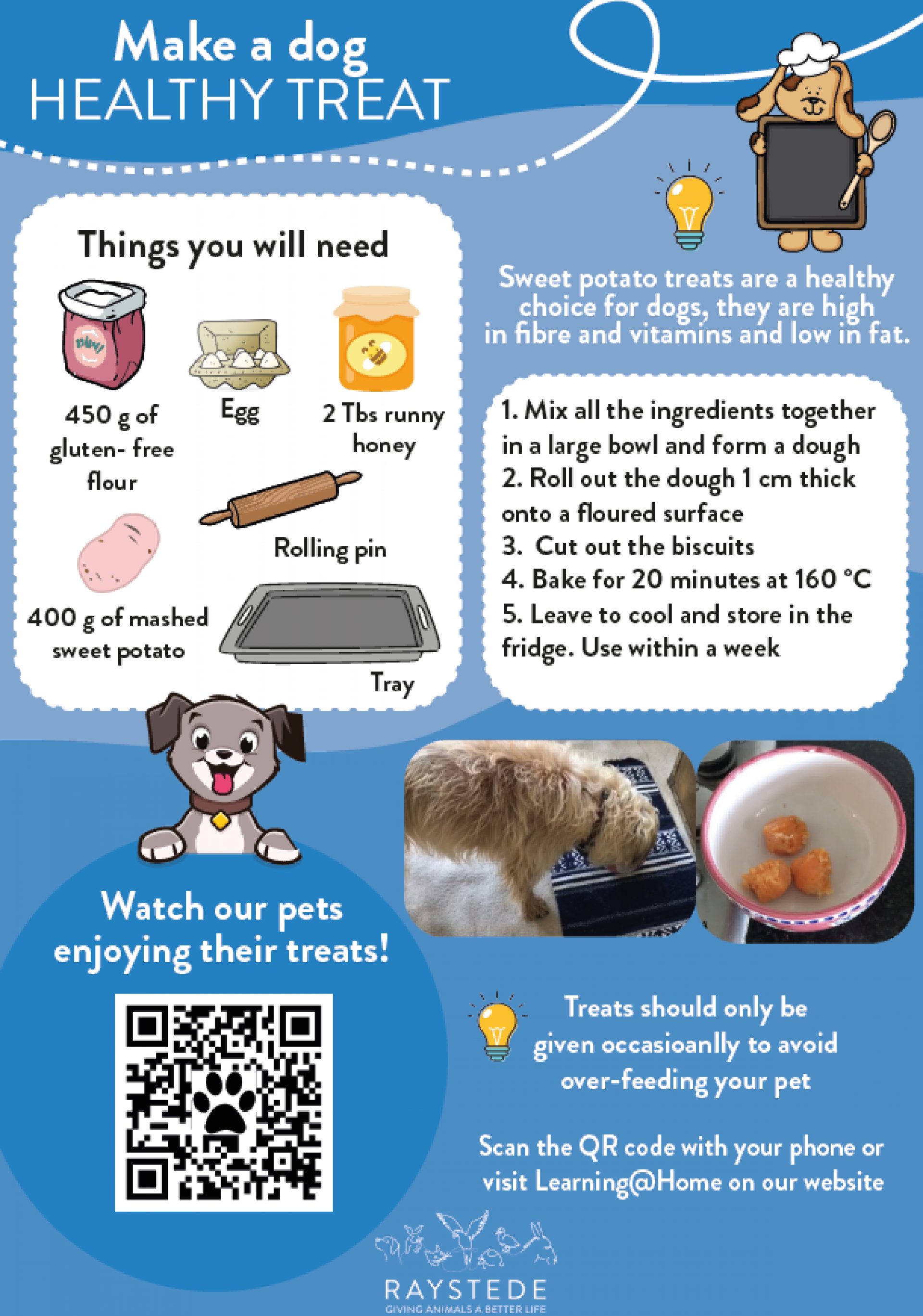 Make a dog healthy treat - Raystede Centre for Animal Welfare Make a dog healthy treat - Raystede Centre for Animal Welfare