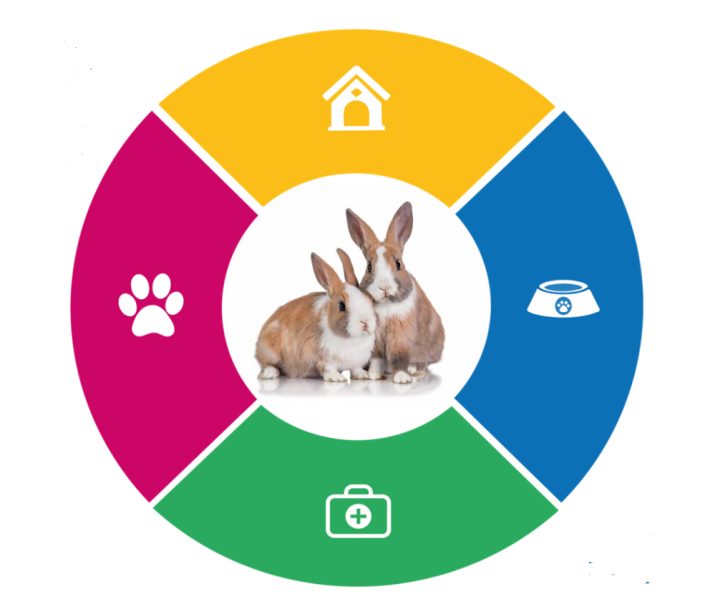 Care Guide Rabbit Raystede Centre for Animal Welfare
