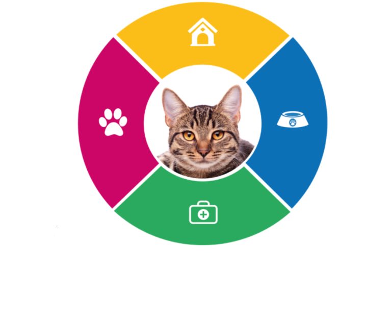 Care Guide - Cat - Raystede Centre for Animal Welfare