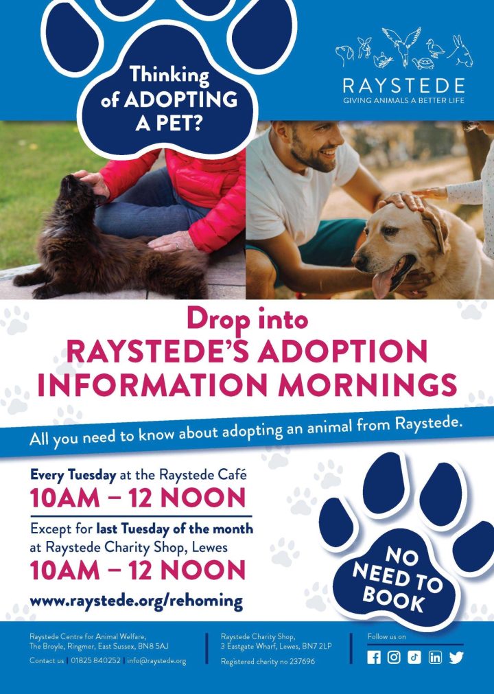 Talks and events - Raystede Centre for Animal Welfare